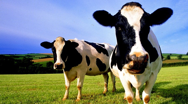  ������� ������� ����������������� ����� ������ ������ 